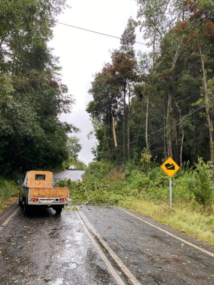 Cortes de energía por caídas de árboles y ramas provocó breve pero intenso temporal en Villarrica