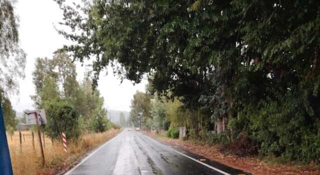 Vecinos de Loica, en Pitrufquén, denuncian fallas en obra vial recientemente recepcionada