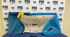 En Temuco recuperan una stand up paddle y detiene a una persona por receptación