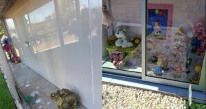 Indignación en Pitrufquén: familias denuncian robo de especies desde sepulturas del cementerio municipal