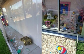 Indignación en Pitrufquén: familias denuncian robo de especies desde sepulturas del cementerio municipal