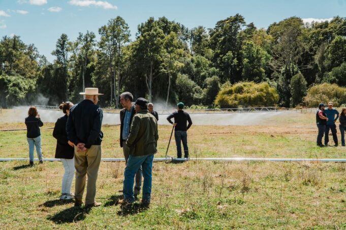 Freire inauguró proyecto de riego en comunidad Fermín Manquilef para fortalecer el desarrollo agrícola