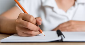 230 mil estudiantes retornarán a clases el próximo 4 de marzo en la Araucanía