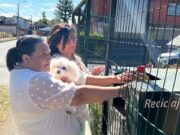 Aguas Araucanía habilitará nuevo punto para reciclar aceite en Villarrica