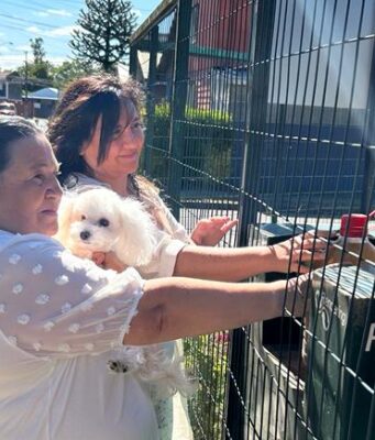 Aguas Araucanía habilitará nuevo punto para reciclar aceite en Villarrica