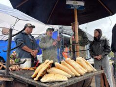 Gastronomía tradicional y emprendimientos clausuran ferias del campo vivo de Pucón, pero la fiesta quedó pendiente