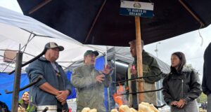 Gastronomía tradicional y emprendimientos clausuran ferias del campo vivo de Pucón, pero la fiesta quedó pendiente