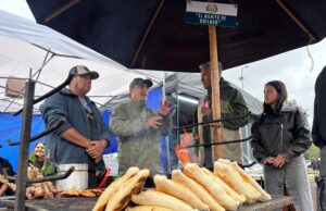 Gastronomía tradicional y emprendimientos clausuran ferias del campo vivo de Pucón, pero la fiesta quedó pendiente