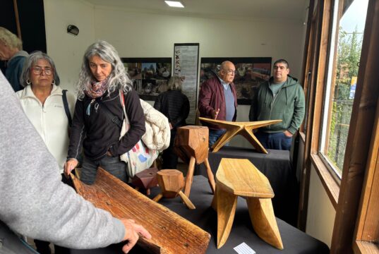 Pucón exhibe inédita muestra artística y ancestral de un arquitecto local