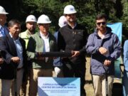 Villarrica tendrá buses 100 por ciento eléctricos