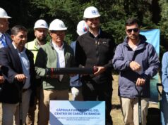 Villarrica tendrá buses 100 por ciento eléctricos