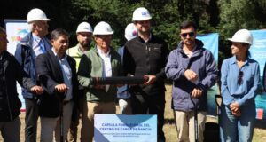 Villarrica tendrá buses 100 por ciento eléctricos