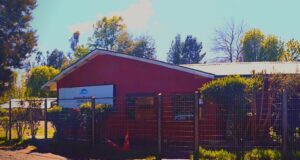 Escuela Conquil de Villarrica inicia movilización por falta de transporte escolar definitivo