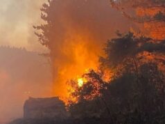 Tras ataque incendiario en Teodoro Schmidt: “Ni Kast, ni Boric detendrán la heroica lucha mapuche”