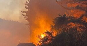 Tras ataque incendiario en Teodoro Schmidt: “Ni Kast, ni Boric detendrán la heroica lucha mapuche”