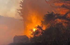 Tras ataque incendiario en Teodoro Schmidt: “Ni Kast, ni Boric detendrán la heroica lucha mapuche”