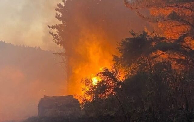 Tras ataque incendiario en Teodoro Schmidt: “Ni Kast, ni Boric detendrán la heroica lucha mapuche”