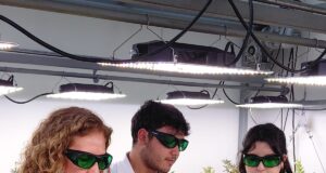 Ciencia y Agricultura Familiar Campesina: Cooperativa de Padre Las Casas se suma a la producción de proteína vegetal de alta gama