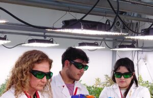 Ciencia y Agricultura Familiar Campesina: Cooperativa de Padre Las Casas se suma a la producción de proteína vegetal de alta gama