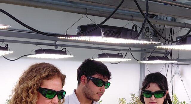 Ciencia y Agricultura Familiar Campesina: Cooperativa de Padre Las Casas se suma a la producción de proteína vegetal de alta gama