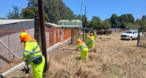 Comunidad de Púa y Cullinco en Victoria, más seguras frente al fuego gracias a PEE de CONAF