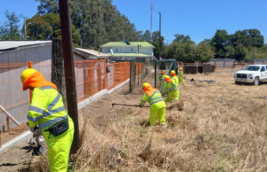 Comunidad de Púa y Cullinco en Victoria, más seguras frente al fuego gracias a PEE de CONAF