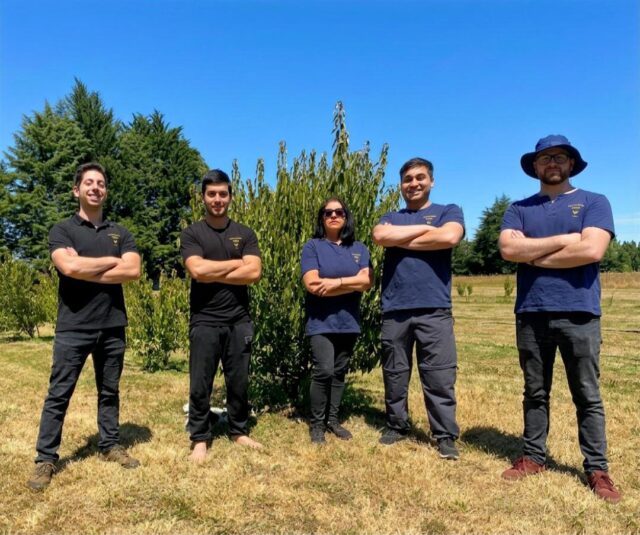 Emprendimiento en Freire apuesta por el valor del maqui con innovador licor premium elaborado a partir del fruto nativo