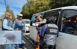 Murciélagos con rabia en Pucón generan operativo de vacunación a mascotas