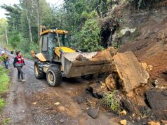Remoción de parte de un cerro activó sistema de emergencia en Pucón