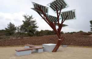 En línea recta proyecto “Hacia un Villarrica carbono neutral” postulado por el departamento de medio ambiente del Municipio Lacustre