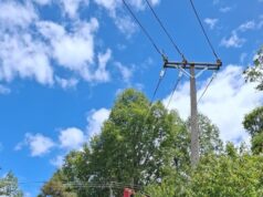 Más de 80 familias de Pucón regularizaron servicio eléctrico tras 20 años de espera