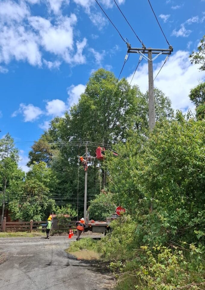 Más de 80 familias de Pucón regularizaron servicio eléctrico tras 20 años de espera