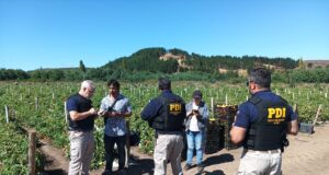 PDI realiza fiscalización masiva a extranjeros en sector rural de Angol