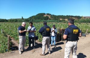 PDI realiza fiscalización masiva a extranjeros en sector rural de Angol