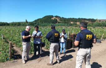 PDI realiza fiscalización masiva a extranjeros en sector rural de Angol