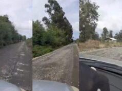 “El proyecto estaría financiado, pero no se hace nada”: vecinos de Freire denuncian retraso en pavimentación en sector Allipén