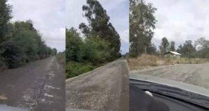 “El proyecto estaría financiado, pero no se hace nada”: vecinos de Freire denuncian retraso en pavimentación en sector Allipén