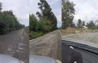 “El proyecto estaría financiado, pero no se hace nada”: vecinos de Freire denuncian retraso en pavimentación en sector Allipén