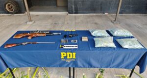 Desarticulan cultivo de cannabis en Collipulli: incauta mas de 2 kilos de droga, 116 plantas y armamento