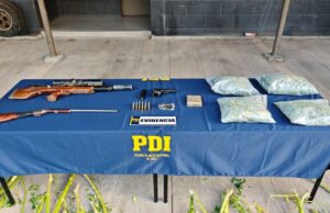 Desarticulan cultivo de cannabis en Collipulli: incauta mas de 2 kilos de droga, 116 plantas y armamento