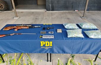 Desarticulan cultivo de cannabis en Collipulli: incauta mas de 2 kilos de droga, 116 plantas y armamento