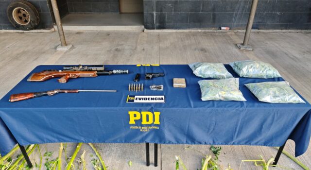 Desarticulan cultivo de cannabis en Collipulli: incauta mas de 2 kilos de droga, 116 plantas y armamento