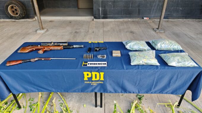 Desarticulan cultivo de cannabis en Collipulli: incauta mas de 2 kilos de droga, 116 plantas y armamento