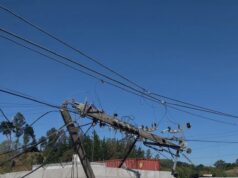 Frontel recuperó el 99% del servicio de vecinos de Lautaro tras choque a poste esta mañana