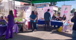 Feria “Mujer emprende” reunió a emprendedoras y servicios de salud en el Cecosf El Bosque de Freire