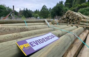 Recuperan en Pucón 900 polines obtenidos mediante estafa por más de cinco millones de pesos