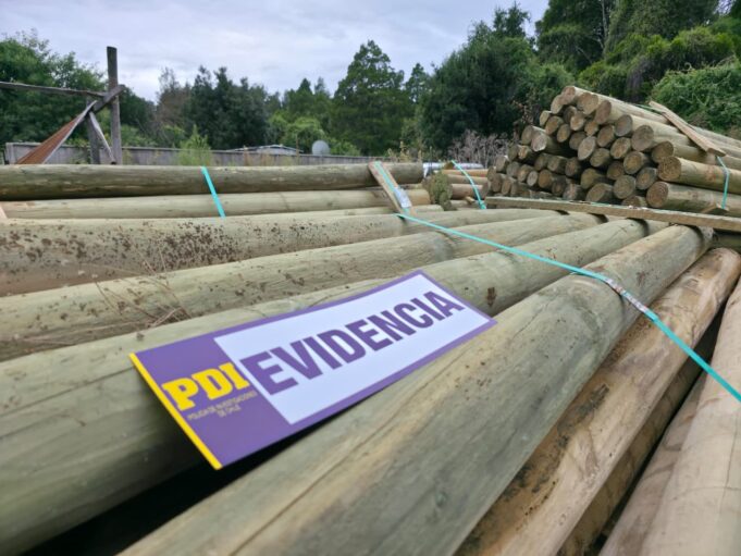 Recuperan en Pucón 900 polines obtenidos mediante estafa por más de cinco millones de pesos