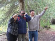 Pitrufquén vivirá, este sábado 14 de marzo, su primera versión del festival de las aves en el parque isla municipal