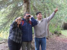 Pitrufquén vivirá, este sábado 14 de marzo, su primera versión del festival de las aves en el parque isla municipal