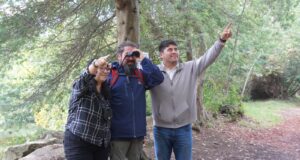 Pitrufquén vivirá, este sábado 14 de marzo, su primera versión del festival de las aves en el parque isla municipal